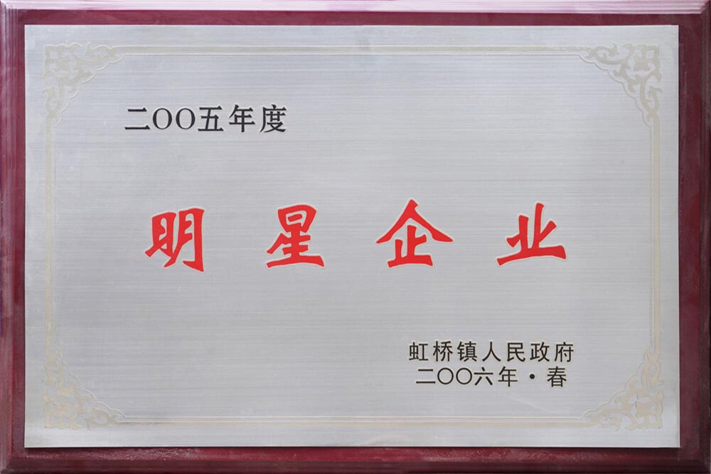 2005明星企业